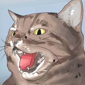 Meet your Posher, Mason